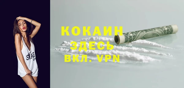 соль ск Алексин