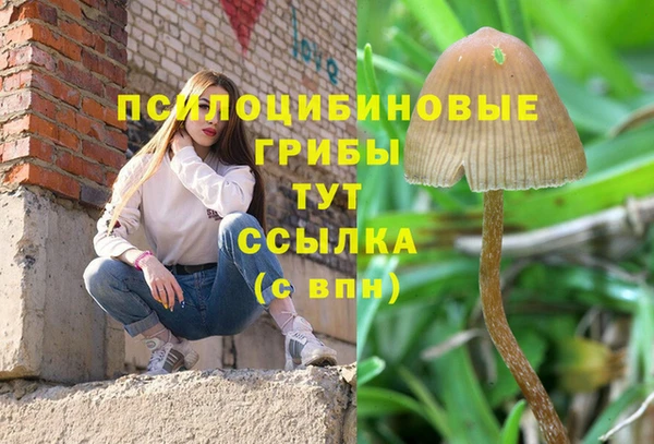герыч Медногорск