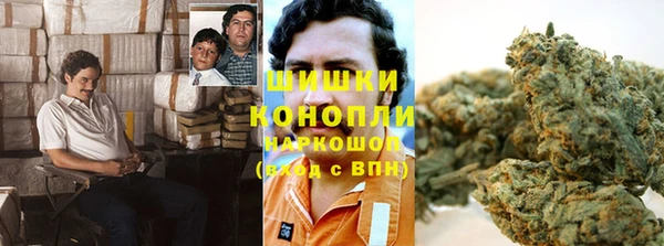 молекула духа Алзамай
